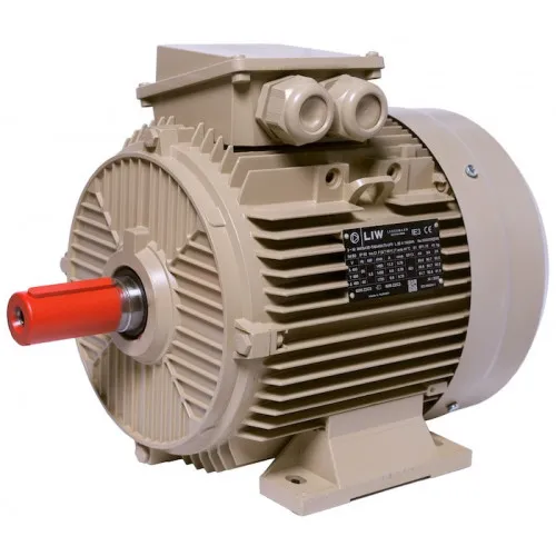 Ел.дв. 5,5/1000 L3E A 132MB6 B3